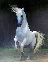 سفارش انواع تابلوهای نقاشی رنگ روغن اسب
