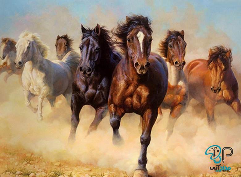 تابلو نقاشی رنگ روغن اسب جذاب با فروش ویژه و بهترین قیمت